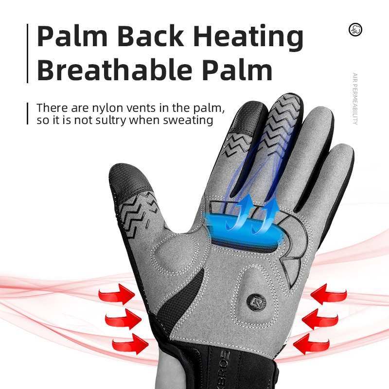 ROCKBROS Heated Winter Glove C - Motorcycle Gear Gloves 评论和价格